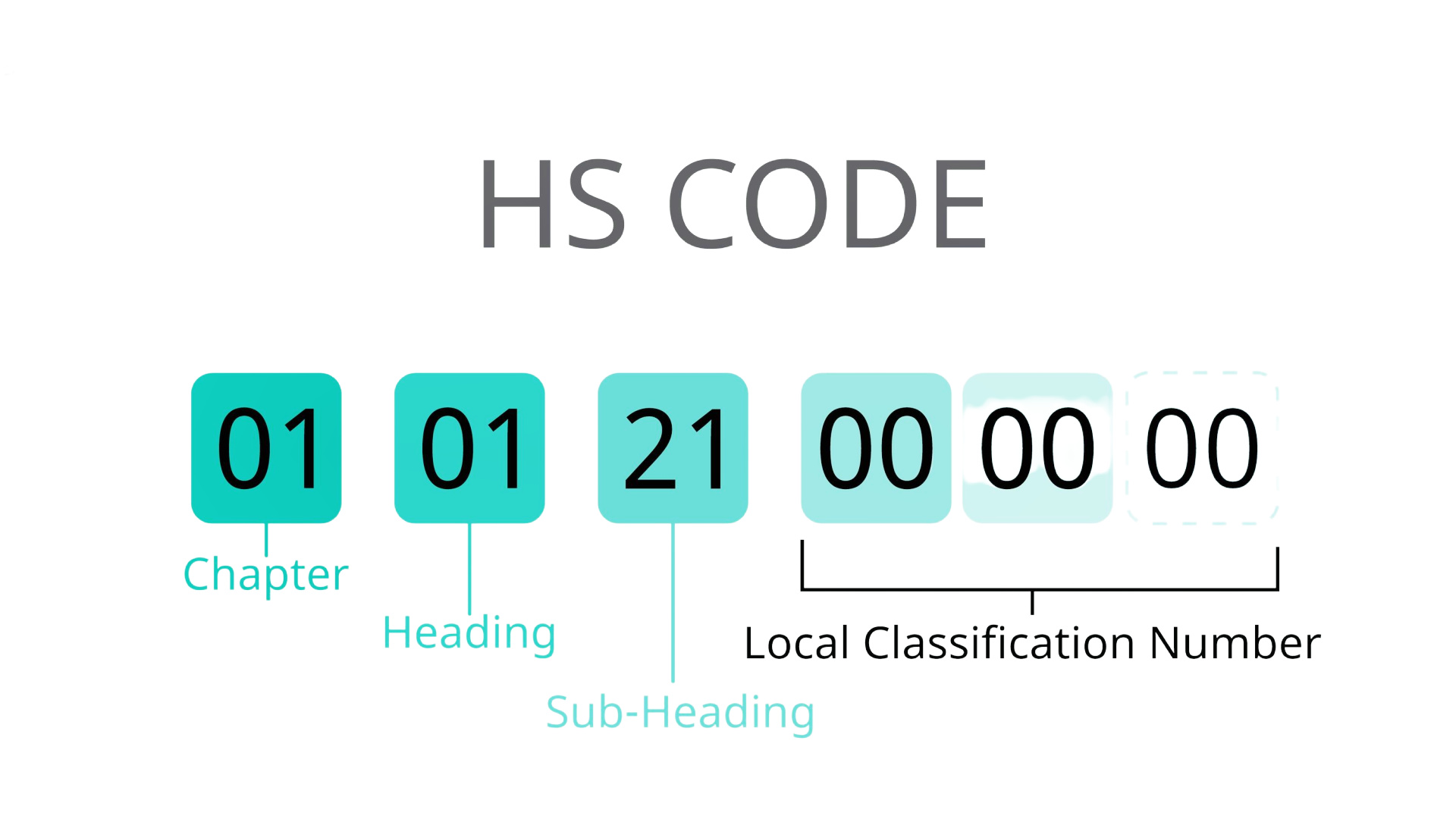  HS Code là gì? Mã HS Code của sản phẩm Chlorine ( Calcium Hypochlorite)