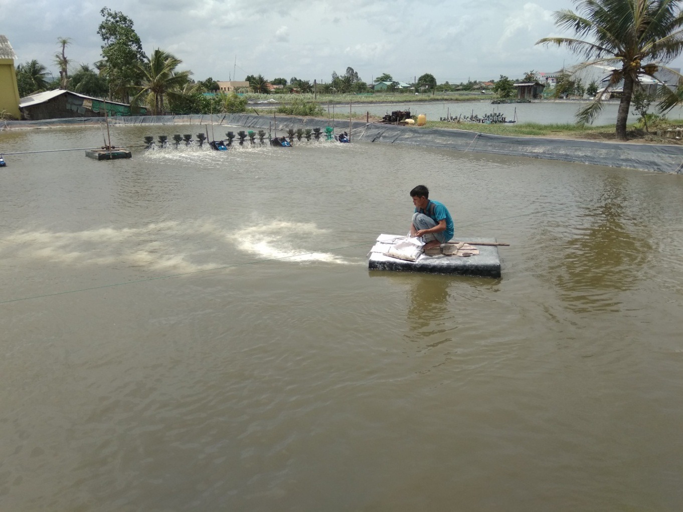 Lưu ý khi sử dụng Chlorine trong thủy sản