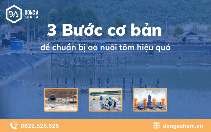 3 Bước cơ bản chuẩn bị ao nuôi