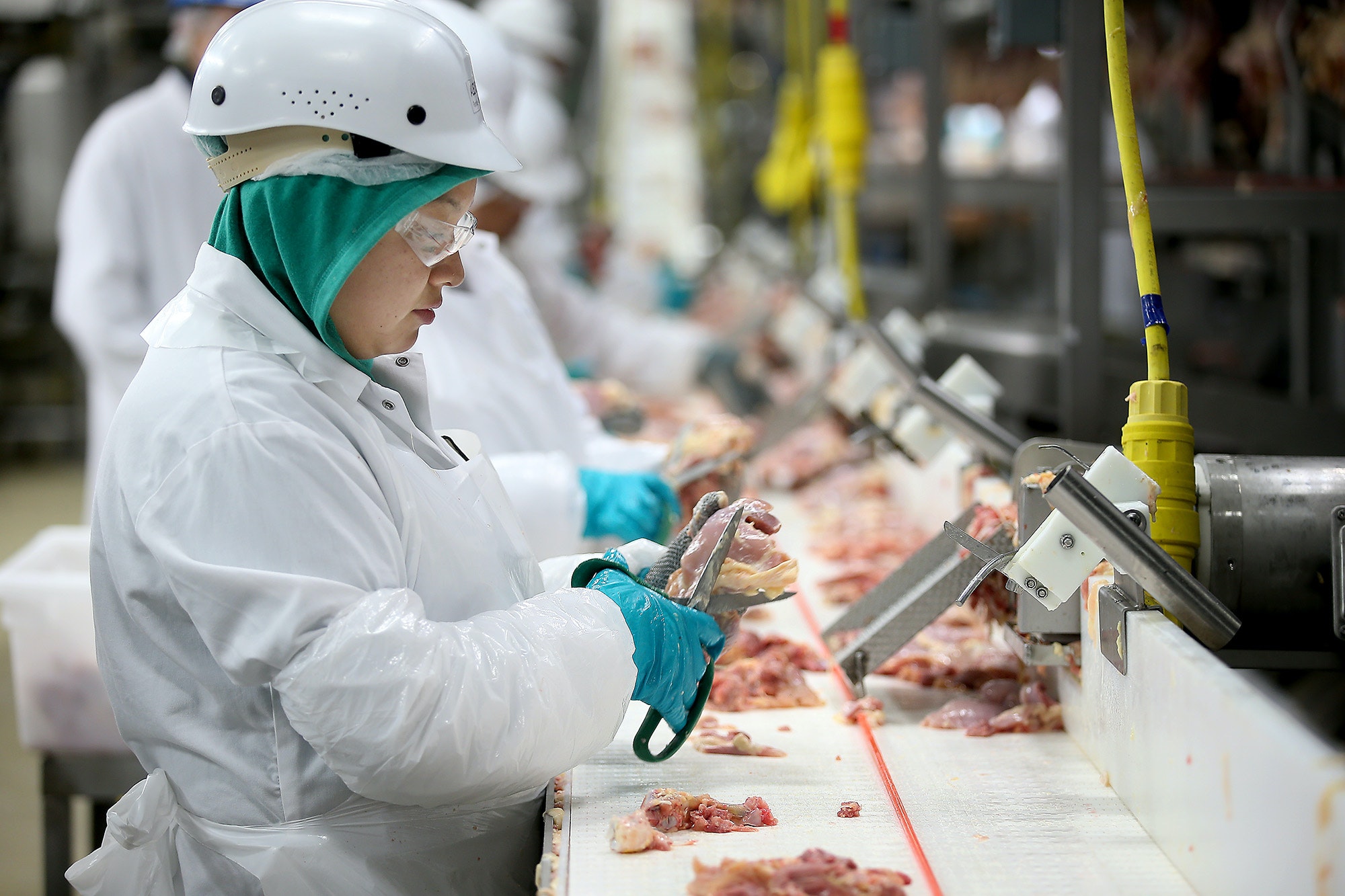 Ứng dụng PAC xử lý nước thải ngành công nghiệp chế biến thịt