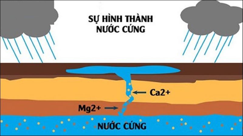 Nước cứng hình thành khi nước ngầm ngấm qua các loại đá như đá phấn, thạch cao, đá vôi,...