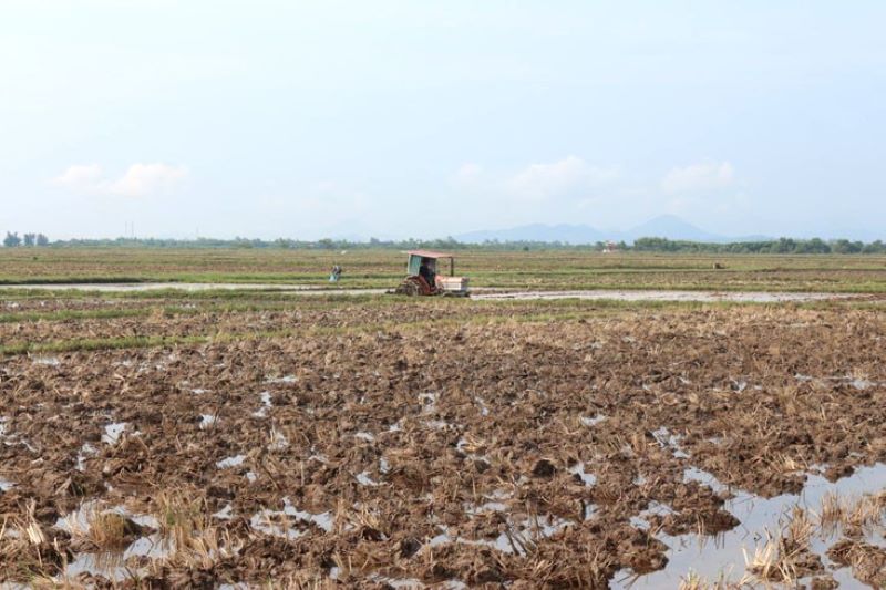 Đặc tính thổ nhưỡng có thể là nguyên nhân khiến nước nhiễm phèn