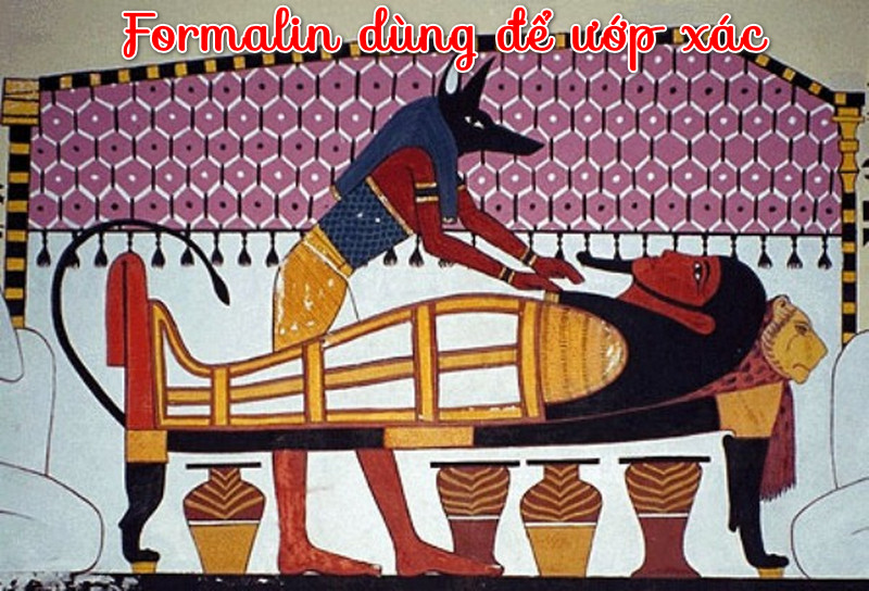 Ứng dụng của Formalin