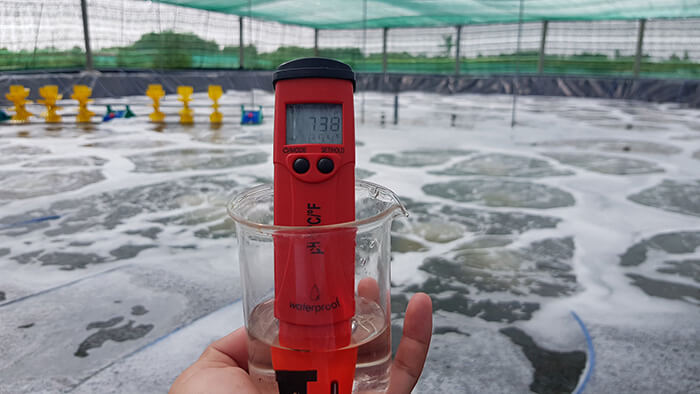 Đưa nồng độ pH về mức ổn định