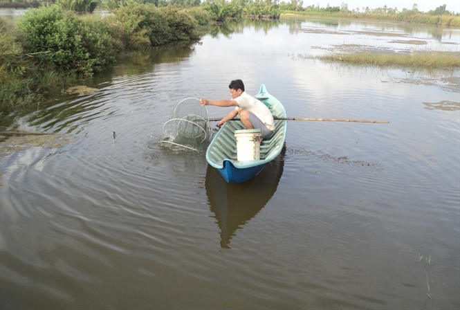 Nuôi tôm quảng canh