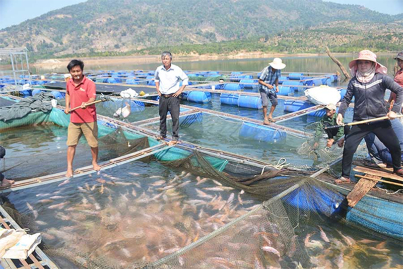 Xử lý nước cho ngành nuôi trồng thủy sản