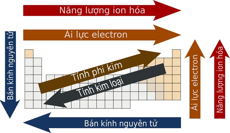 Nguyên tắc sắp xếp trong bảng tuần hoàn hóa học