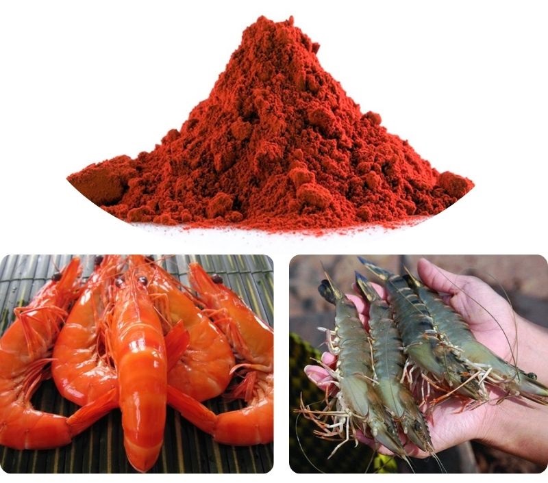 Lợi ích nổi bật của Astaxanthin trong nuôi tôm
