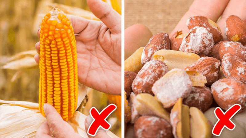 Độc tố Aflatoxin có ở đâu