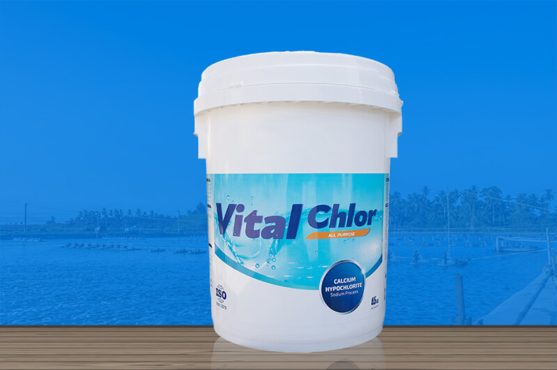 hóa chất xử lý nước bể bơi Chlorine Đông Á