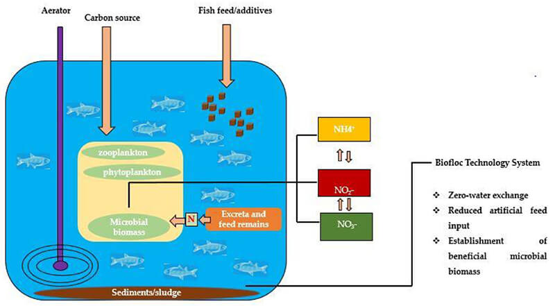 Thành phần của Biofloc