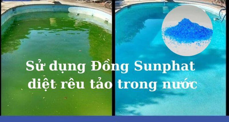 Ứng dụng trong xử lý nước