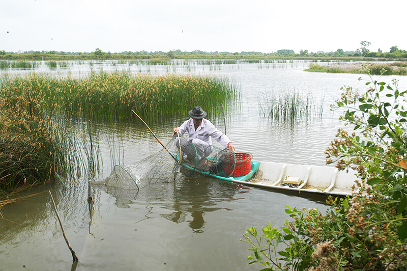 Mô hình nuôi quảng canh cải tiến