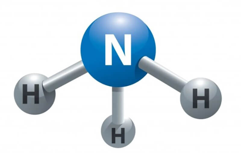 NH3 là liên kết gì