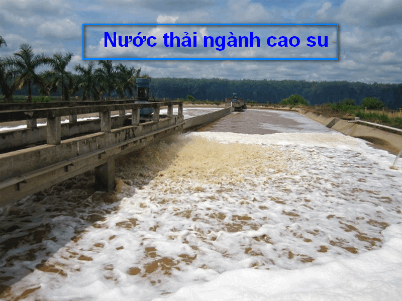 Nước thải ngành cao su