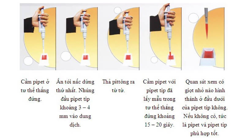 Sử dụng pipet đúng cách