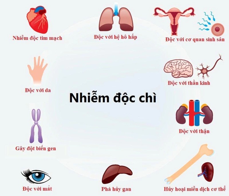 Triệu chứng nhiễm độc chì