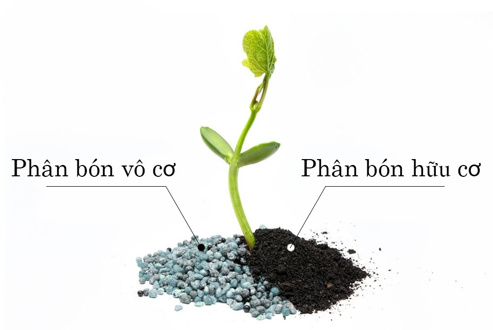 Điểm tương đồng giữa phân bón vô cơ và phân bón hữu cơ