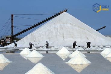  Giá trị nhập khẩu muối công nghiệp (NaCl) cho sản xuất Xút NaOH - Clo hàng năm