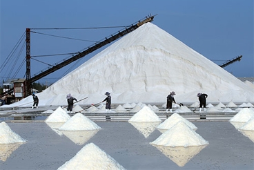  Nhu cầu muối công nghiệp trong sản xuất hóa chất Xút - Clo